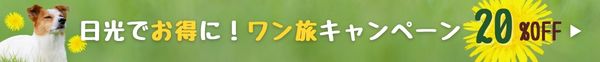 ニュースバナー